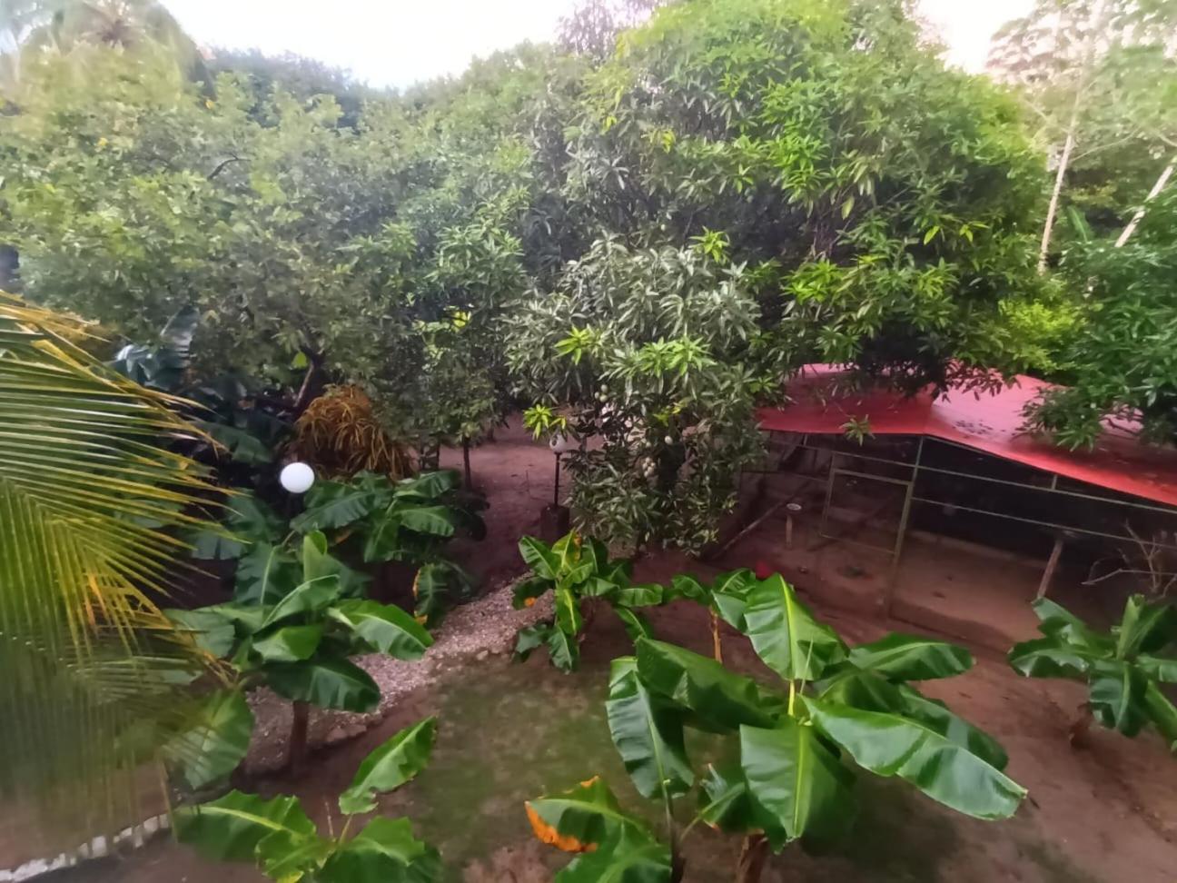 Finca De Nosotros Bonda Exterior photo